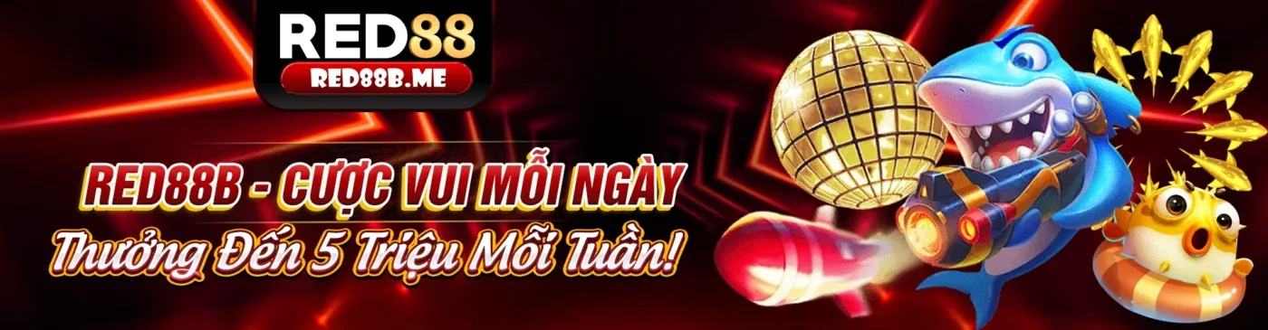 Hình ảnh chính blog mcw App