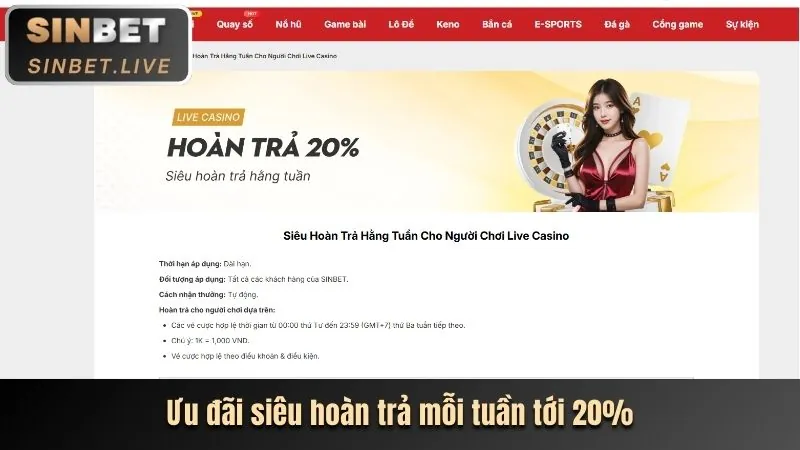 Cá cược thể thao mcw App